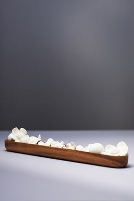 Daisy Sculptural Diffuser Set