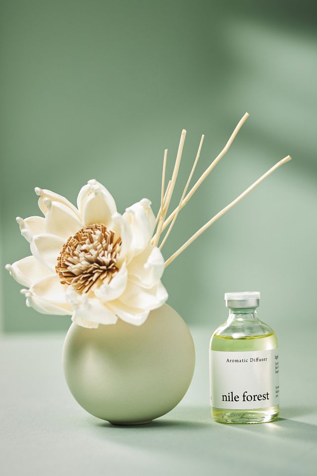 Sola Glow Nile Forest Sculptural Diffuser Set | Anthropologie