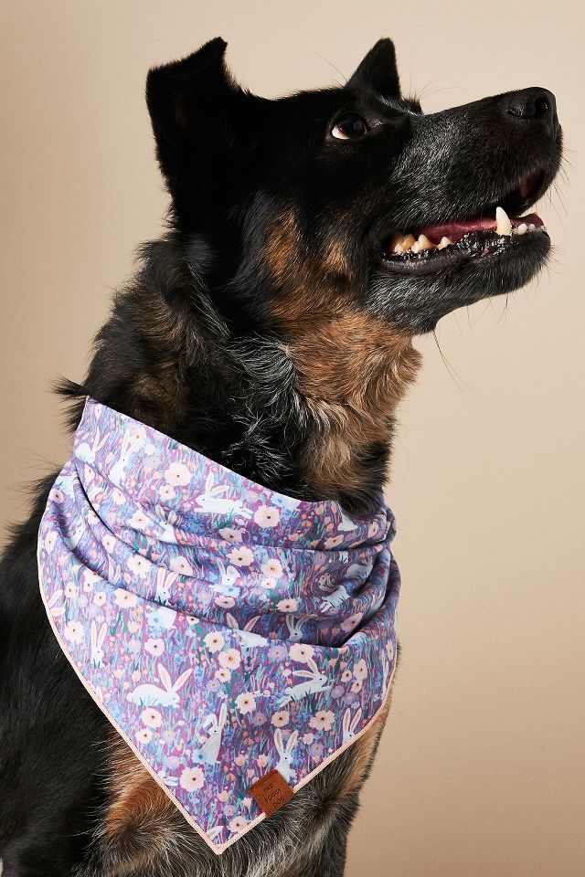 The foggy dog store bandana