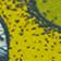 Green Pattern