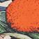 Orange Pattern