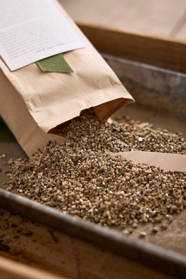 Monarch Milkweed Garden Seed Scatter - Thumbnail 2