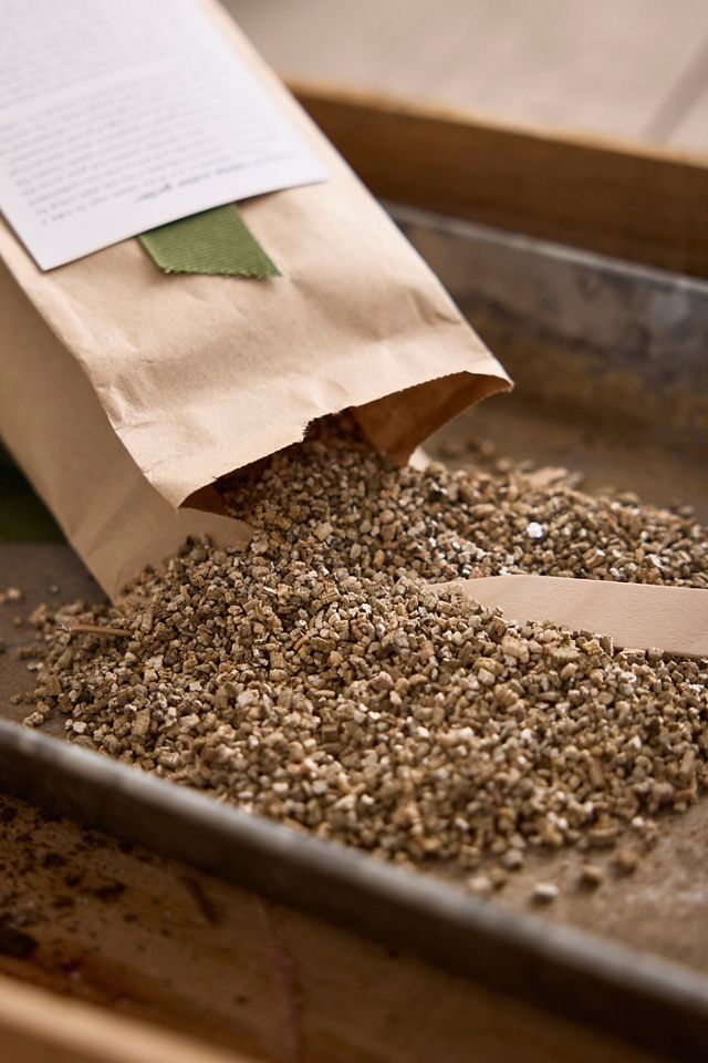 Monarch Milkweed Garden Seed Scatter #1