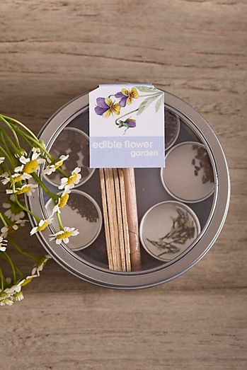 Edible Flower Garden Seed Kit