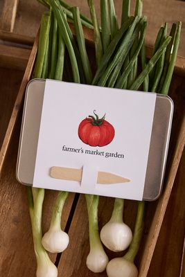 Terrain Farmer's Market Garden Seed Kit In White
