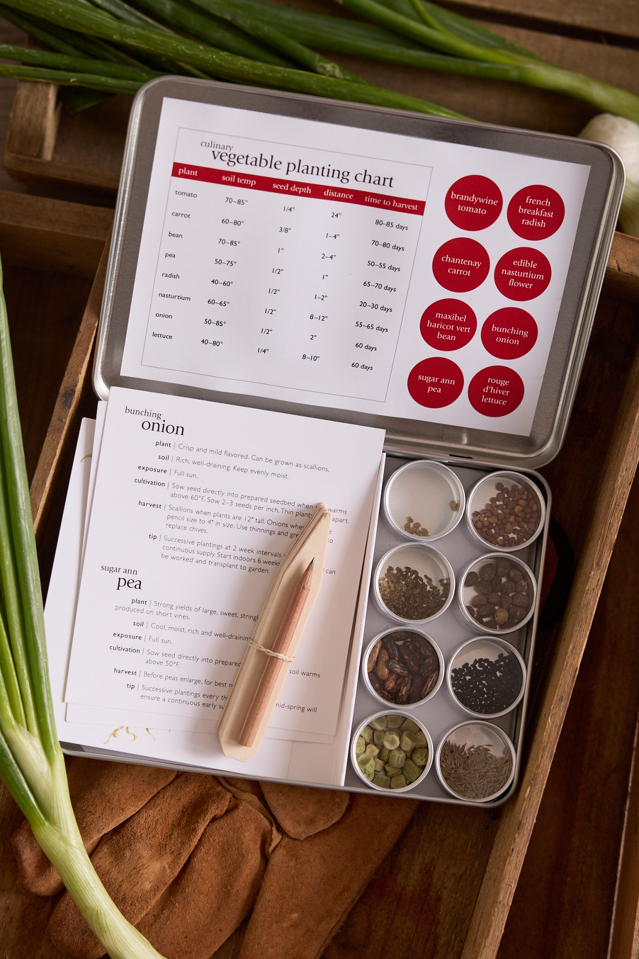 Farmer’s Market Garden Seed Kit