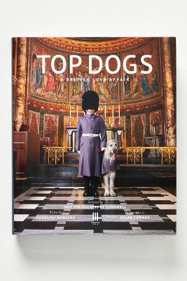 Anthropologie Top Dogs: A British Love Affair In Multicolor