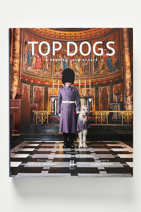 Anthropologie Top Dogs: A British Love Affair In Multi