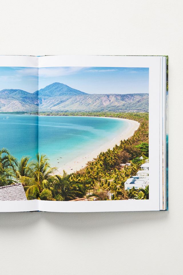 Palm Tree Destinations #1