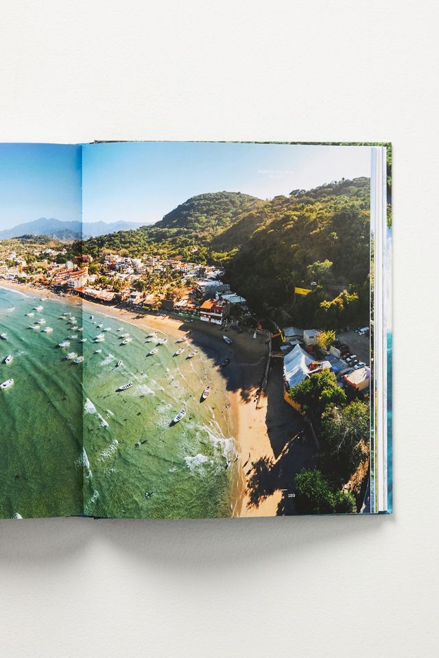 Palm Tree Destinations #2