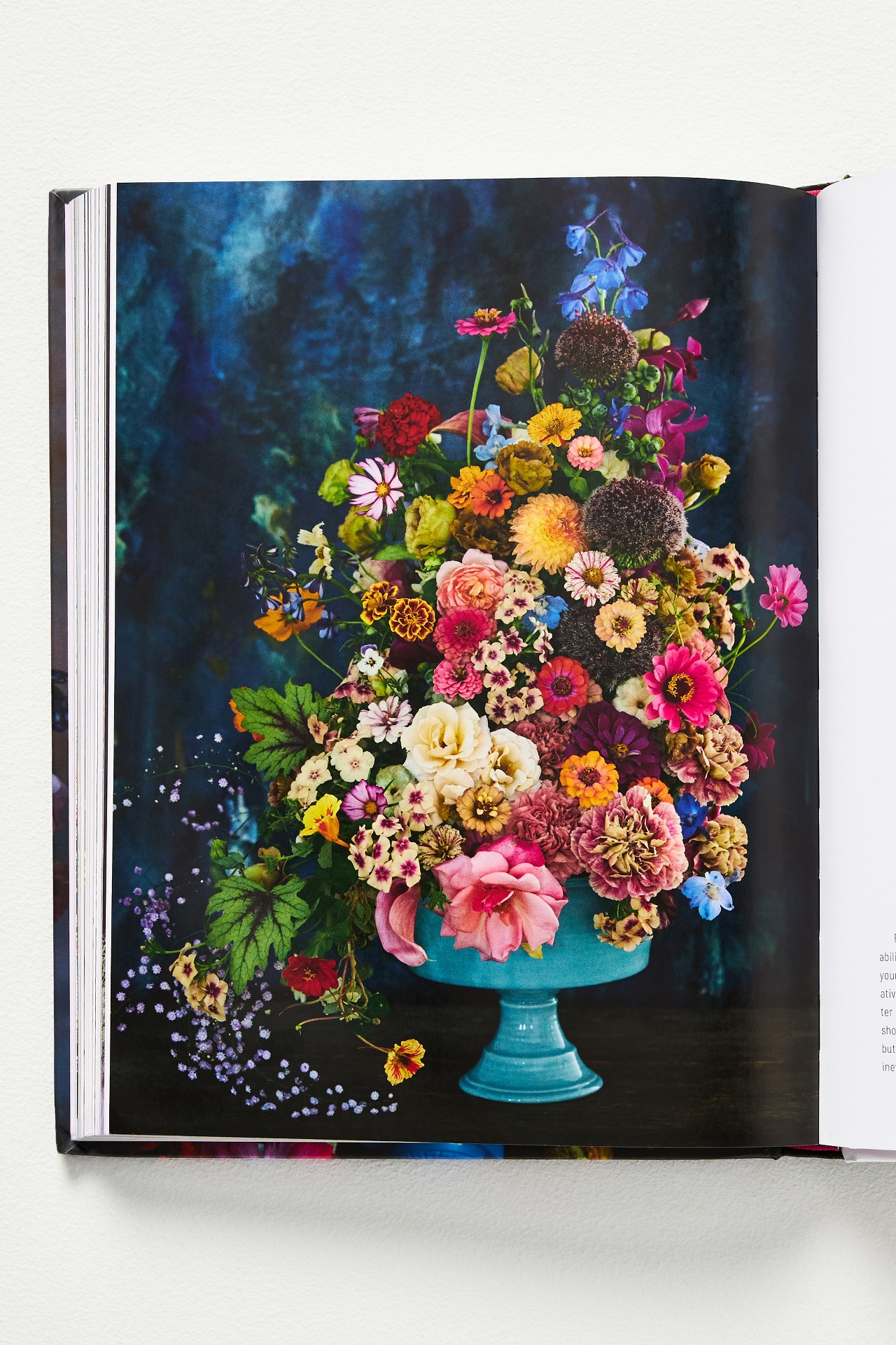 Tulipina's Floral Fantasy