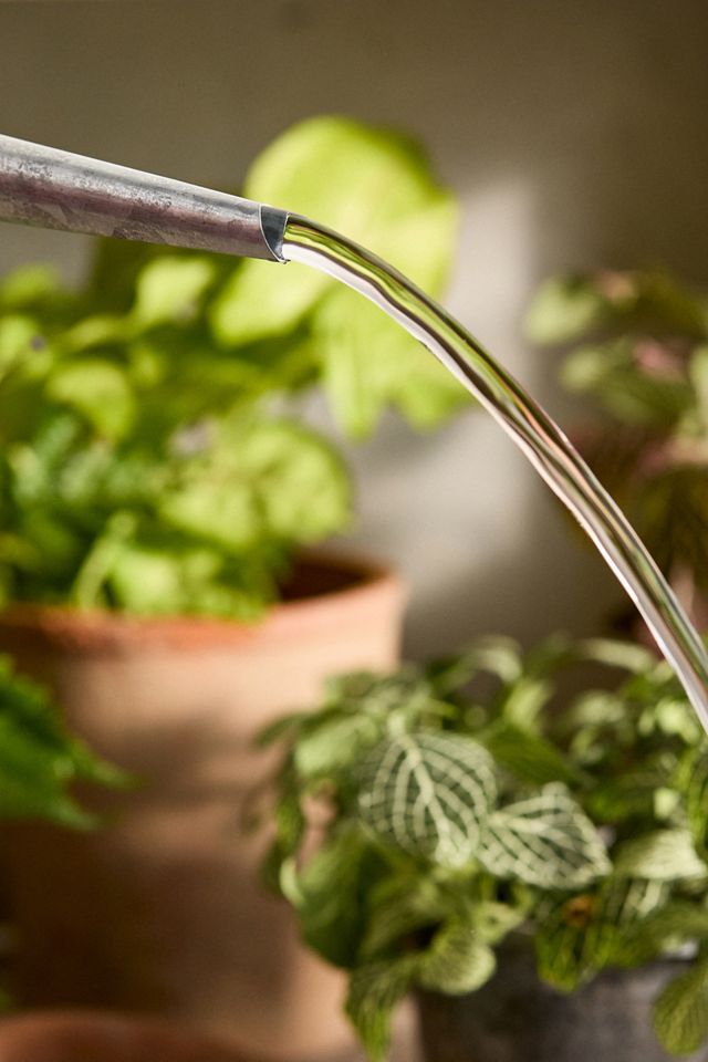 Sophie Conran for Burgon & Ball Galvanized Steel Watering Can, 1L Terrain