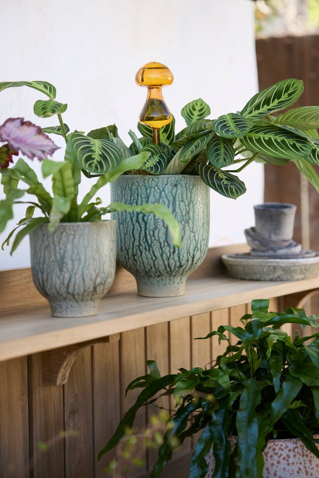 Mushroom Watering Globes, Set of 2 #1