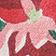 Poinsettia