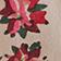 POINSETTIA