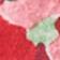 POINSETTIA