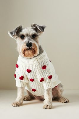 Dog sweaters for miniature 2024 schnauzers