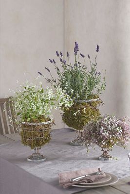 Terrain Scalloped Wire Urn Planter In Gray