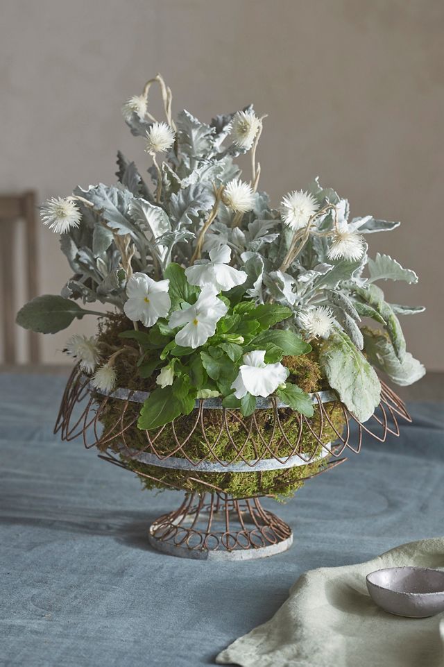 Low Wire Urn Planter #2