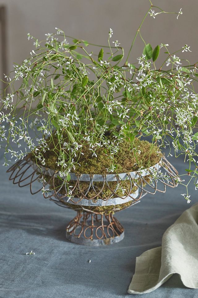 Low Wire Urn Planter #4