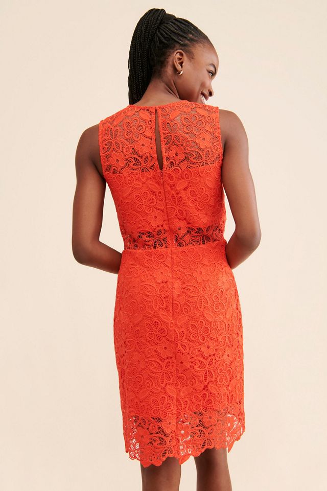Hutch Floral Lace Sheer Mini Dress #1