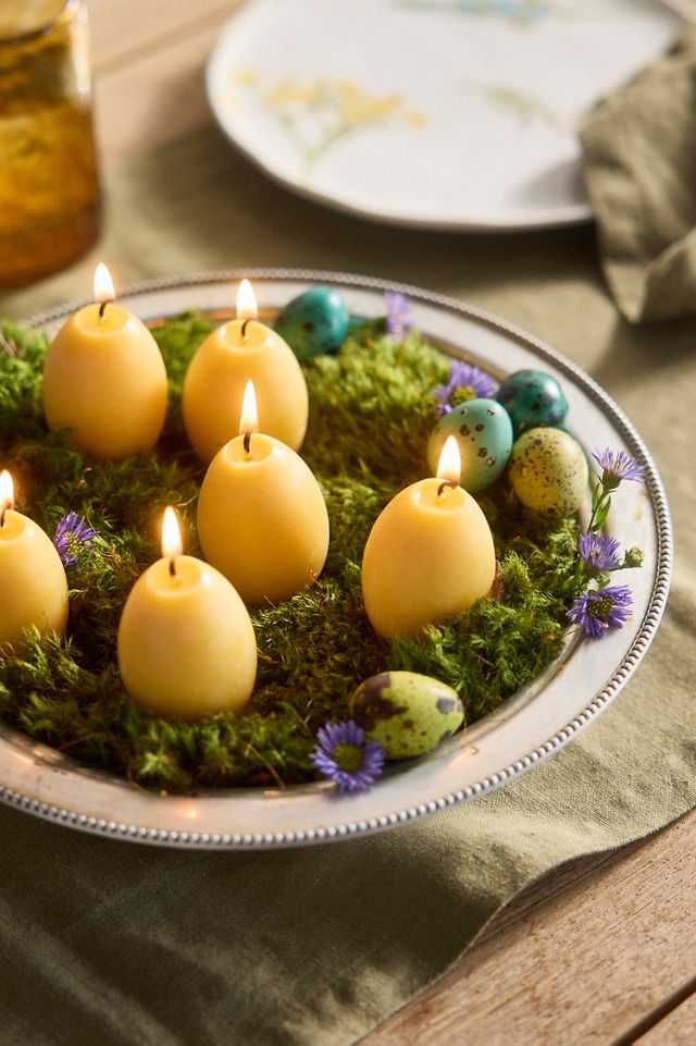 Egg Candles, Set of 6 | Terrain