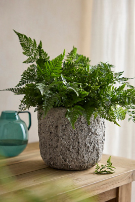 Image showcasing Textured Concrete Pot | Terrain