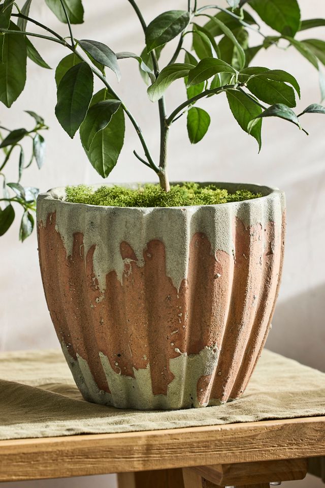 Ribbed Terracotta Taper Pot #6