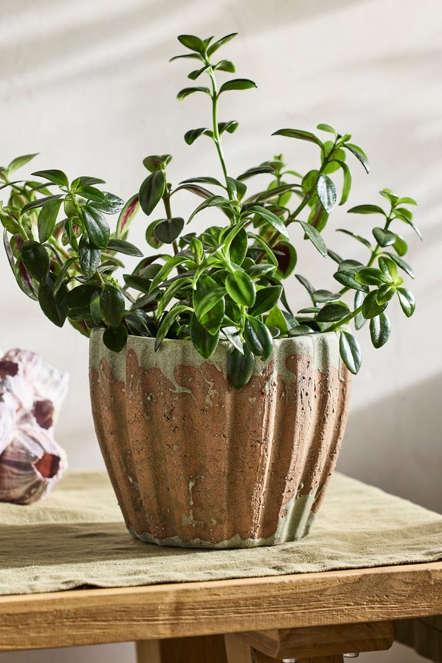 Ribbed Terracotta Taper Pot #7