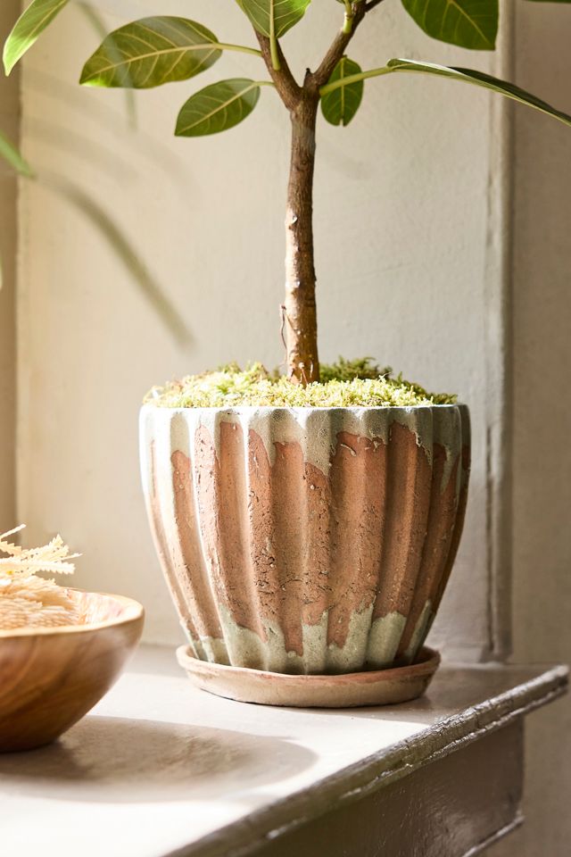 Ribbed Terracotta Taper Pot #2