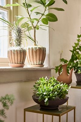 Ribbed Terracotta Taper Pot