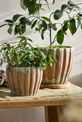 Otto Curved Urn Planter