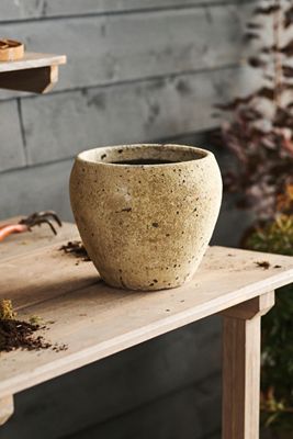 Barnacle Juliet Planter