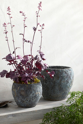 Terrain Barnacle Juliet Planter