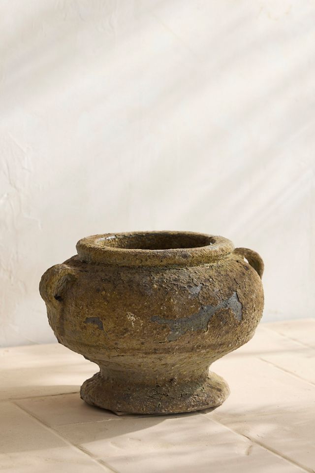 Barnacle Rosie Urn #1