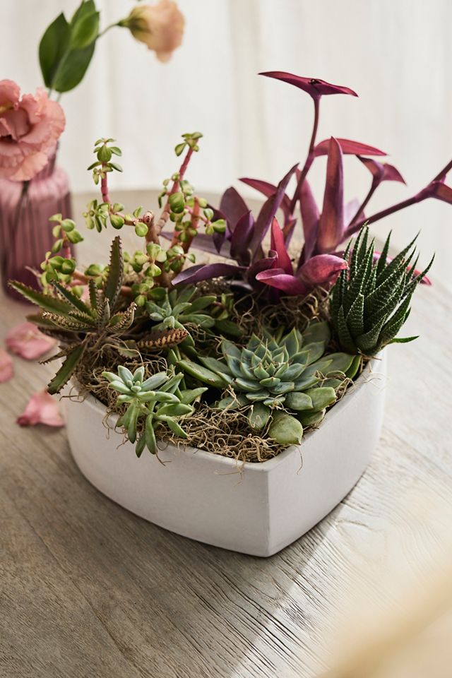 Ceramic Heart Bowl Terrain