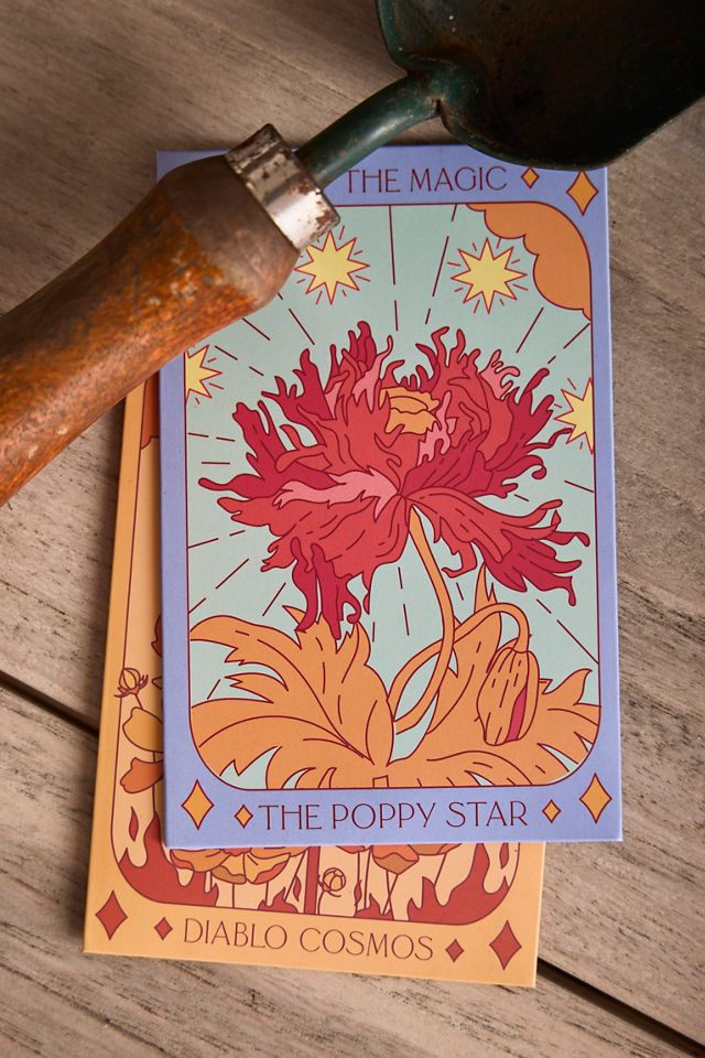 Sow the Magic Flower Seed Collection #1
