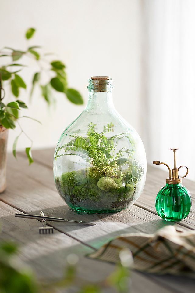 Bottle Terrarium Grow Kit