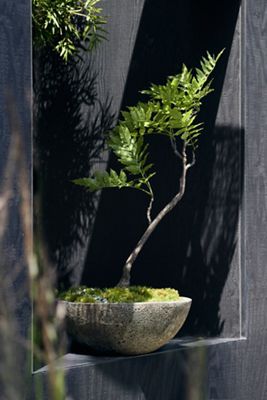 Barnacle Rounded Bowl Planter