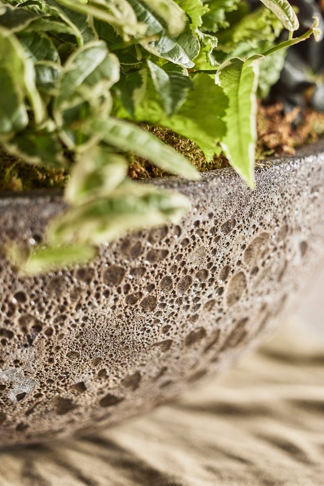 Barnacle Rounded Bowl Planter #2