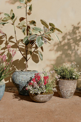 Terrain Barnacle Rounded Bowl Planter