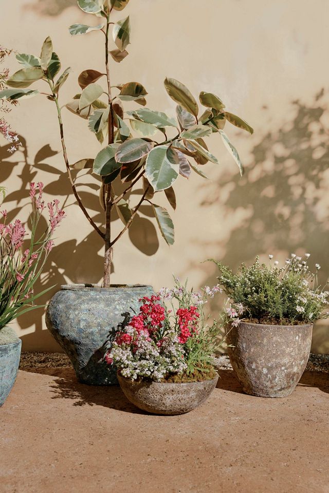 Barnacle Rounded Bowl Planter #6