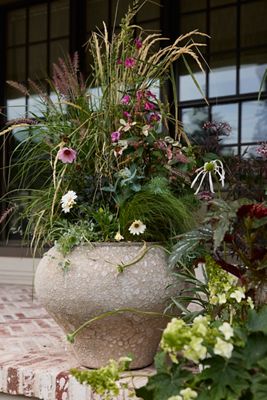 Barnacle Form Planter