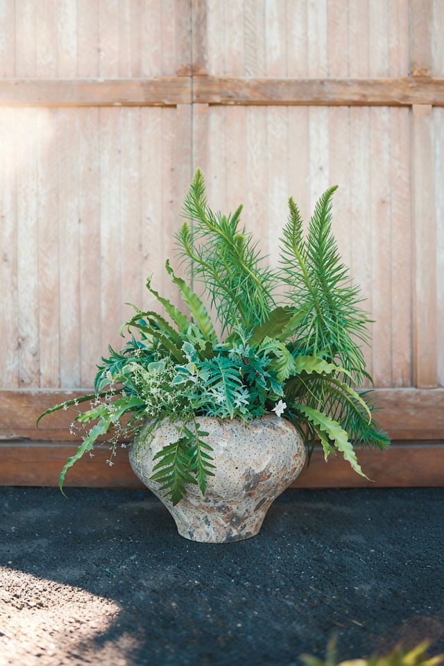 Barnacle Form Planter #2