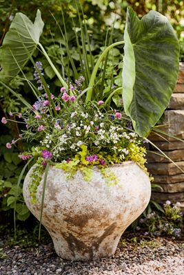 Barnacle Form Planter