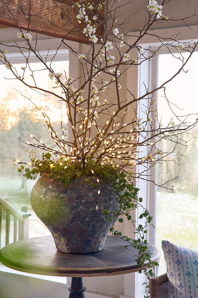 Barnacle Form Planter #3