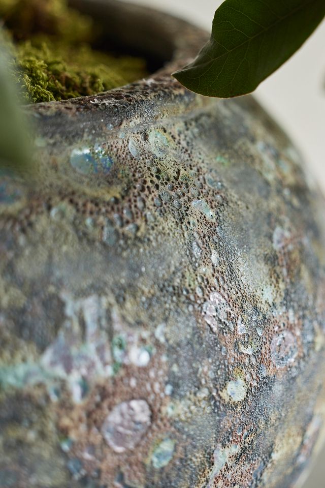 Barnacle Form Planter #2