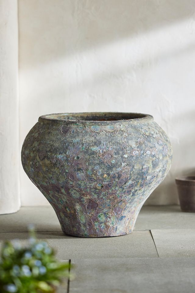 Barnacle Form Planter #1