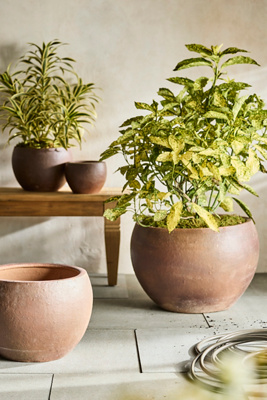 Terrain Terracotta Globe Planter