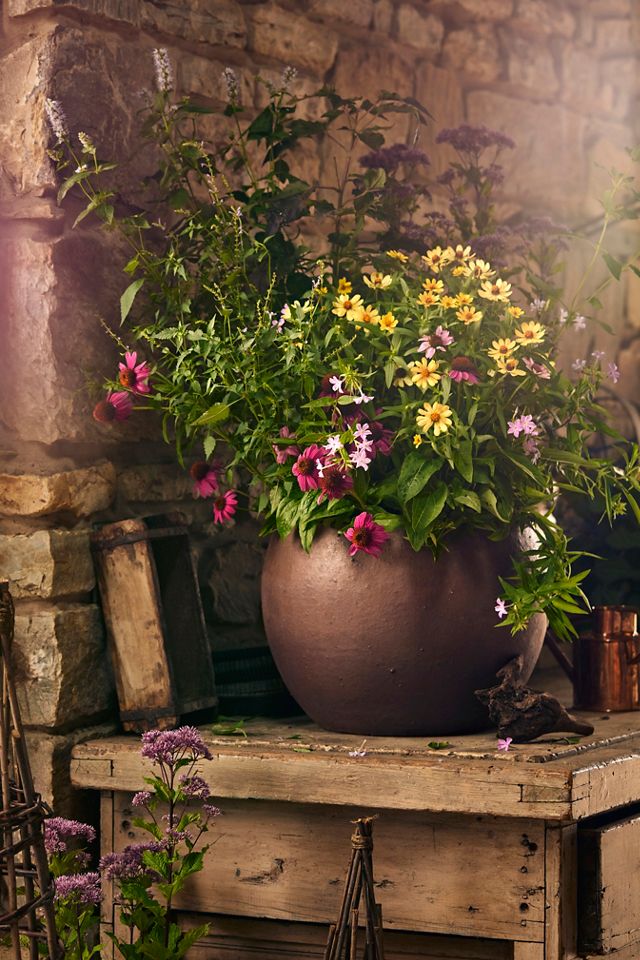 Terracotta Globe Planter #10